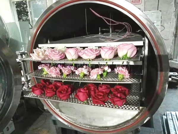 Lyophilization equipment for flowers