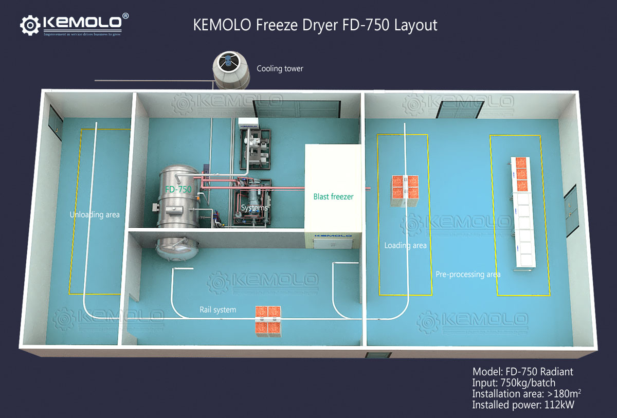 Fruit and vegetable freeze dryer